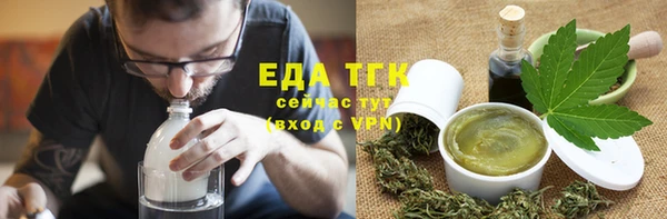 гашик Ельня