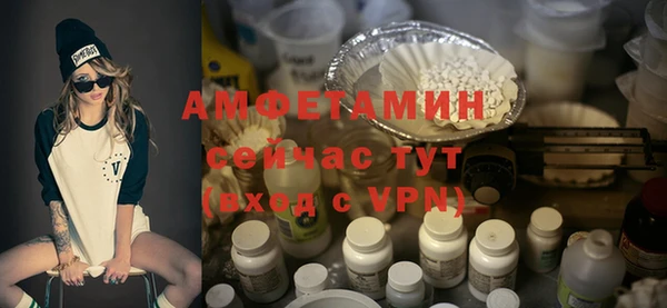 гашик Ельня