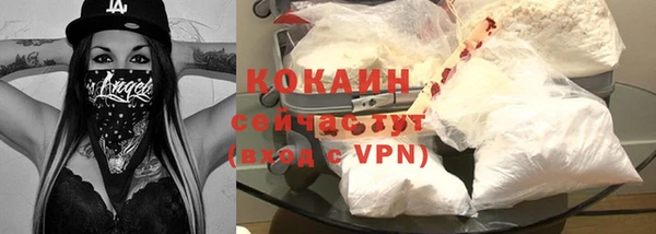 гашик Ельня