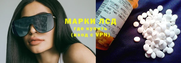 гашик Ельня