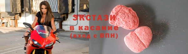 гашик Ельня