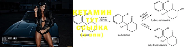 альфа пвп Елизово