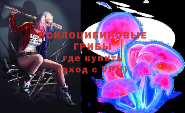гашик Ельня