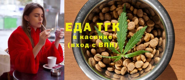 гашик Ельня