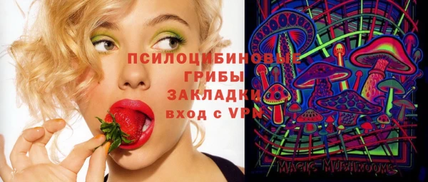 гашик Ельня