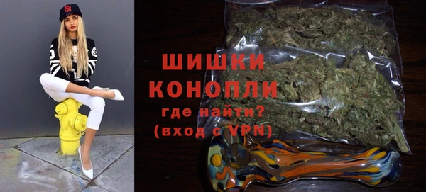 гашик Ельня