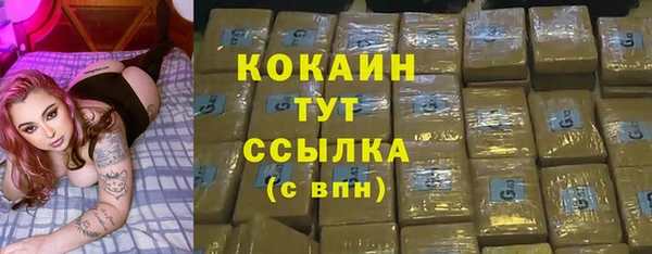 гашик Ельня
