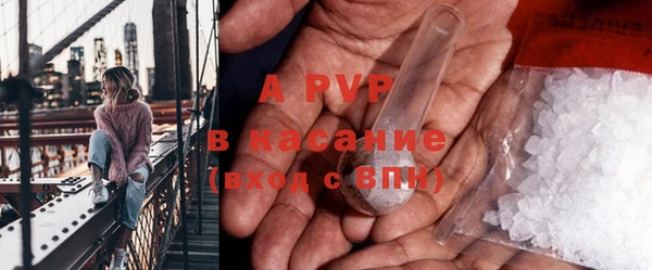 гашик Ельня