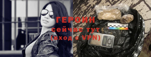 гашик Ельня