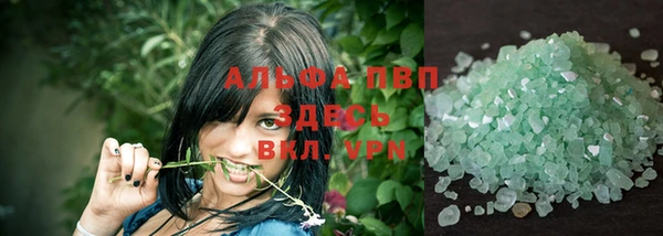 гашик Ельня